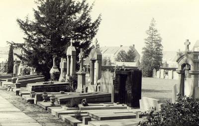 Edegem: begraafplaats